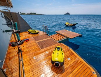 Kokonut's Wally photo 22