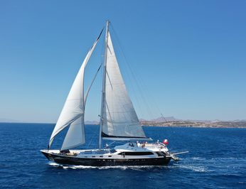Canaria photo 34