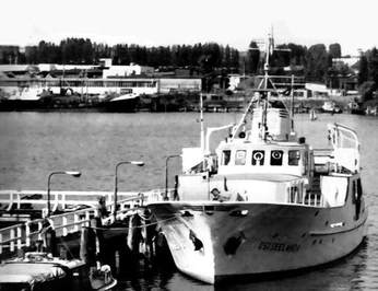 Red Sea Magic photo 5