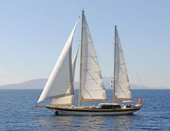 Main Profile