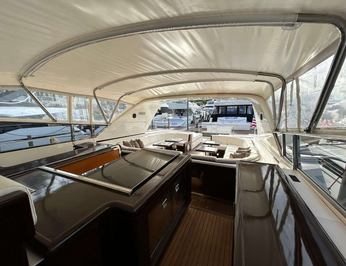 The Gorilla photo 14