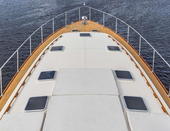 Falcon photo 17