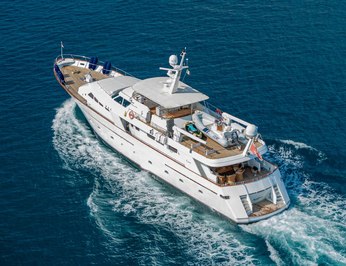 Nightflower photo 64