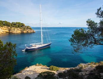 Jersey Pearl photo 4