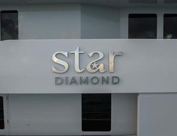 Star Diamond photo 62