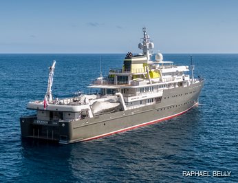 Albatross photo 35