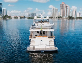 Virginia Sea photo 5