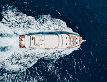 Virginia Sea photo 32