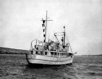 Pacific Yellowfin photo 40