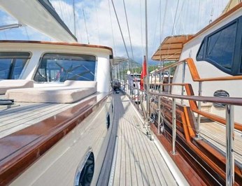 CarpeDiem Coral photo 4