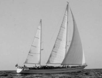 Lady Sail photo 4