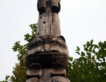 Pacific Yellowfin photo 83