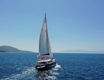 Canaria photo 5