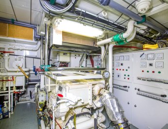 Jersey Pearl photo 26