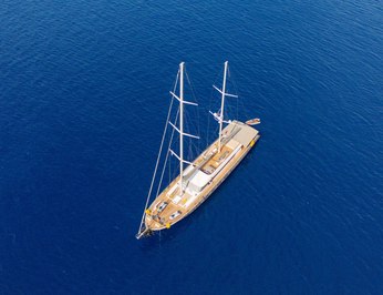 King of The Sea photo 5