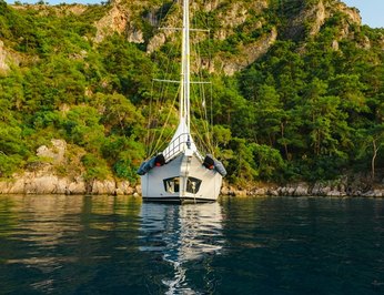 Belgin Sultan photo 38