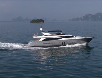 Hummingbird photo 44