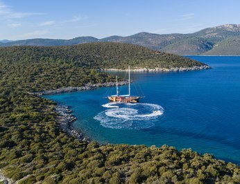 Take It Easier photo 28