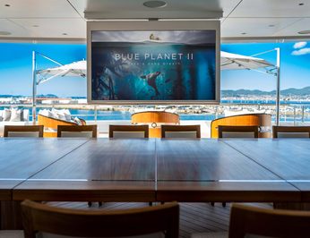 Renaissance photo 35