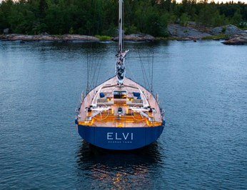 Elvi photo 4