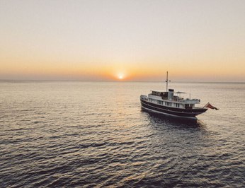Dastaf photo 27
