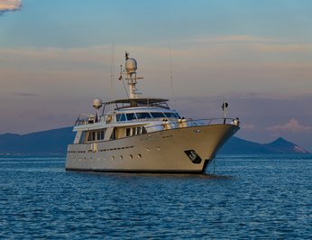 Nightflower photo 56