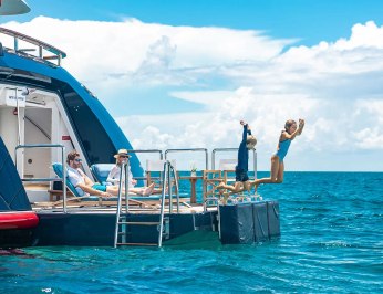 Next Chapter photo 4