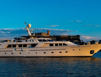 Nightflower photo 58