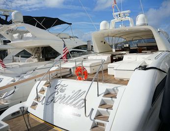 The Gorilla photo 16