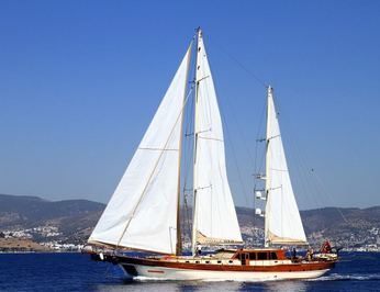 Estrella De Mar photo 5