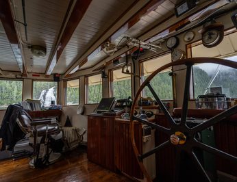 Pacific Yellowfin photo 16