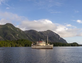 Pacific Yellowfin photo 38