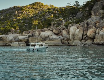 Flying Fish photo 99