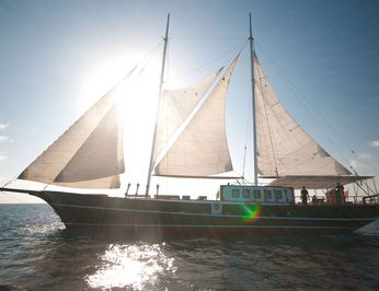 Dream Voyager photo 11