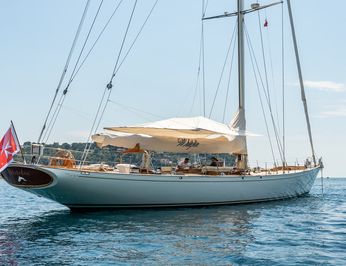 Whitefin photo 22