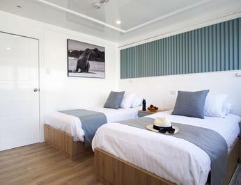 Galapagos Sea Star photo 10