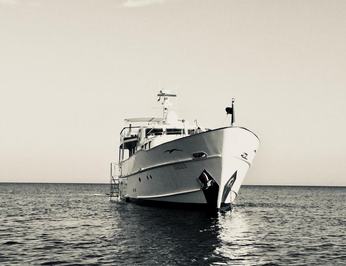 Nina Spirit of the Wind photo 23