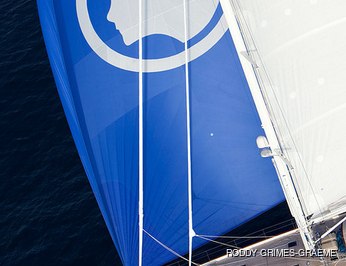 Atalante photo 20