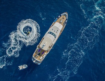 Nightflower photo 62