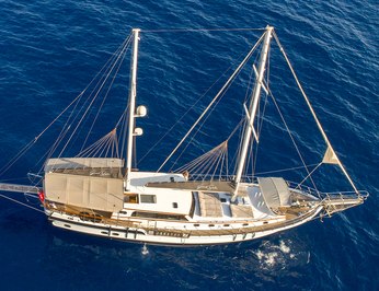 Grand Sailor photo 4