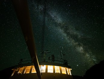 Pacific Yellowfin photo 35