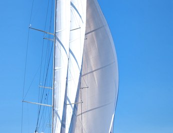Simena photo 23
