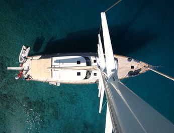 Tango Charlie photo 5