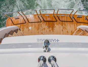 Second Amendment photo 5