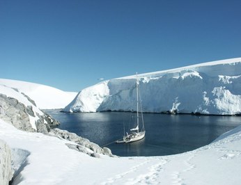 Tanana photo 5