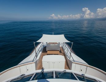 Lady in Blue photo 20