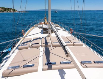 Nautilus photo 11