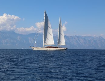 Simena photo 22