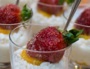 Pacific Yellowfin photo 50