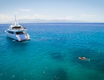 Flying Fish photo 76